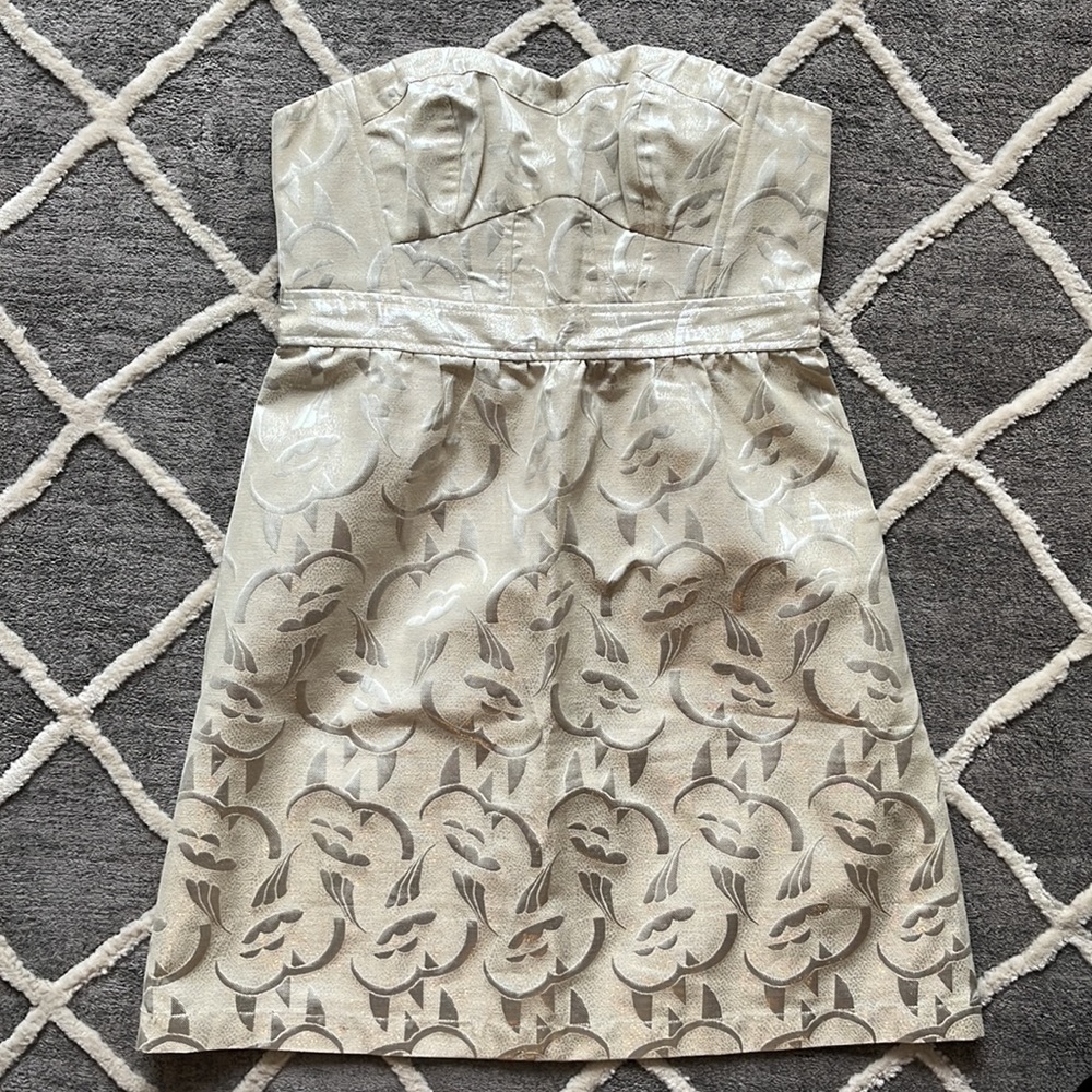American Eagle Brand New - Size 8 - Shimmer strapless dress - silver champagne